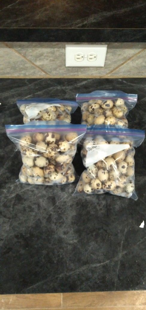 Venta De Huevo De Codorniz Fresco