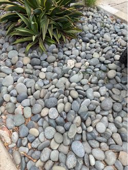 Free large pebble gravel