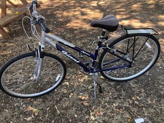 Giant cypress bike