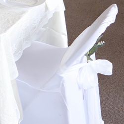 Chair Covers 