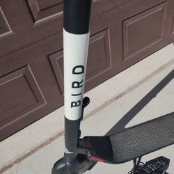 Bird Electric Scooter And Charger