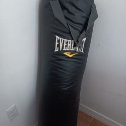 Punching Bag Everlast Power Core