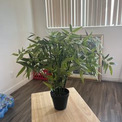 fake plants 