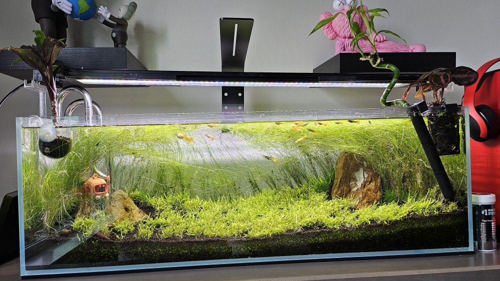 Fluval Light With Wifi Controller