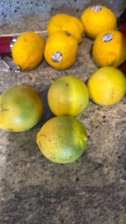 Lime