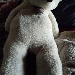 $20 For this 7.6ft Tall Teddy Bear