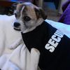 Felipe85Cecy