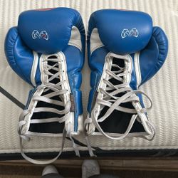 Rival 14oz Boxing Gloves