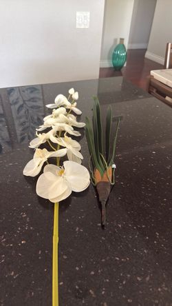 High-end orchid and leaves, New