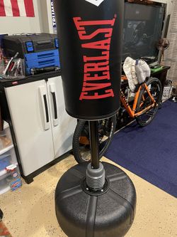 Everlast Punching Bag.