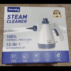 Steam Cleaner 