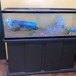 Fish Tank
