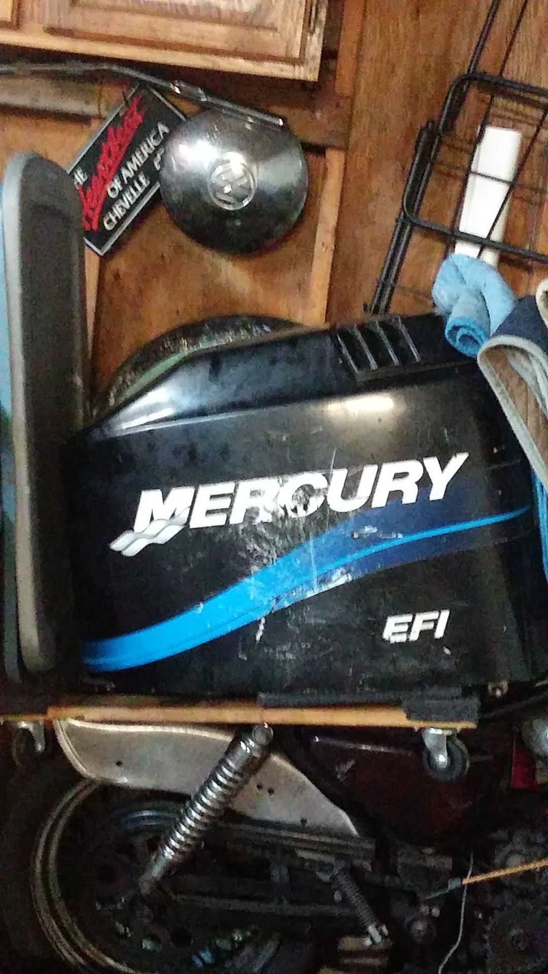 Mercury saltwater 225 (MAKE an OFFER)