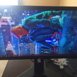 Dell Monitor (Adjustable Height)