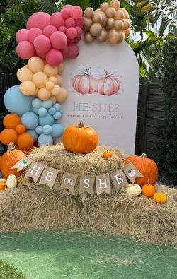Gender Reveal Pumpkin Theme Backdrop..