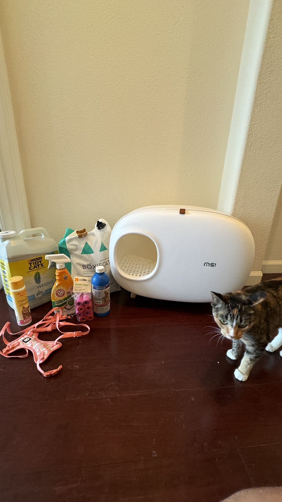Amazing litter box haul!
