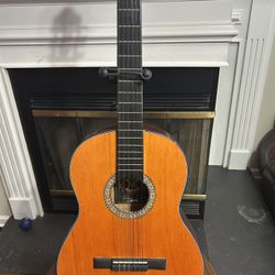 acoustic guitar Milenium 