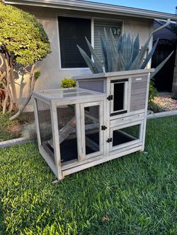 Bunny Hutch