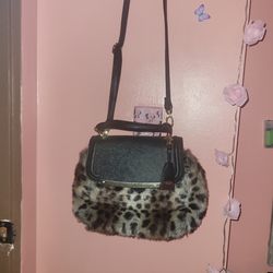 ALDO purse