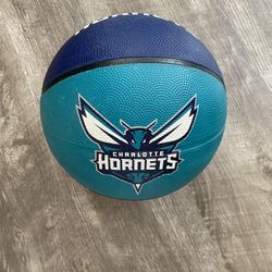 Charlotte Hornets NBA Basketball