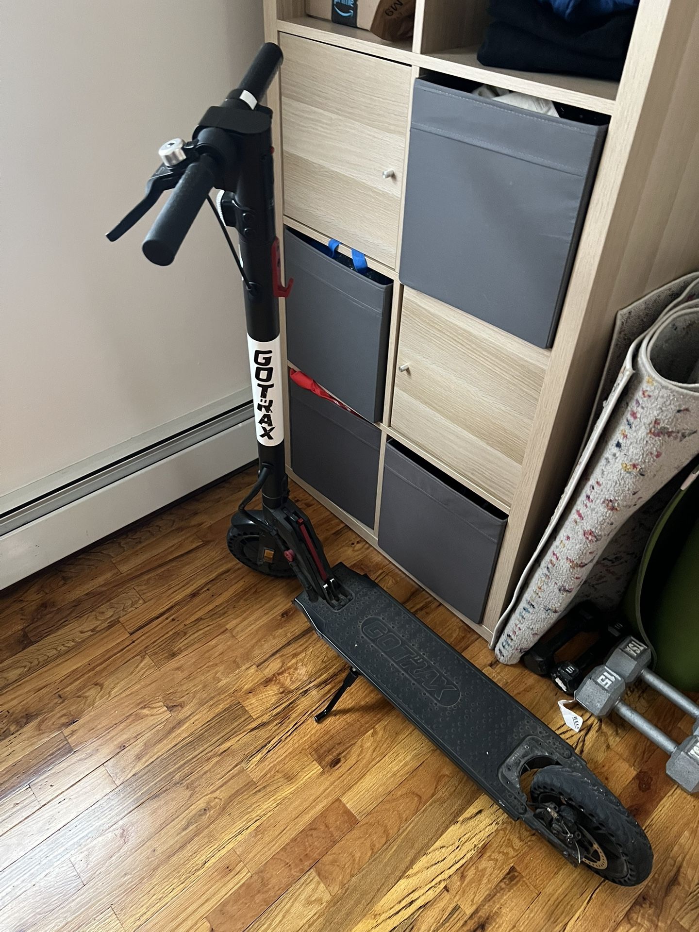 Electric Scooter 