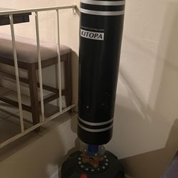 Standing Punching Bag 