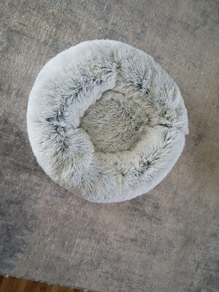 Cat Or Dog Beds - Never Used