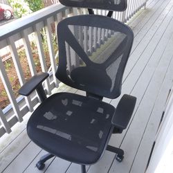 Dexley Chair Mesh Back and Seat