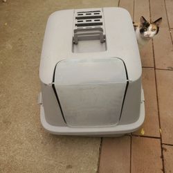 Cat LITTLE Box 17 Inch. High  17 Inch. Wide