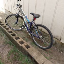 Bicicleta GRANDE color AZUL Y DORADO.en Buenas Condiciones