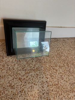 Football Mini Helmet Black Framed Display Case Wall Mounted
