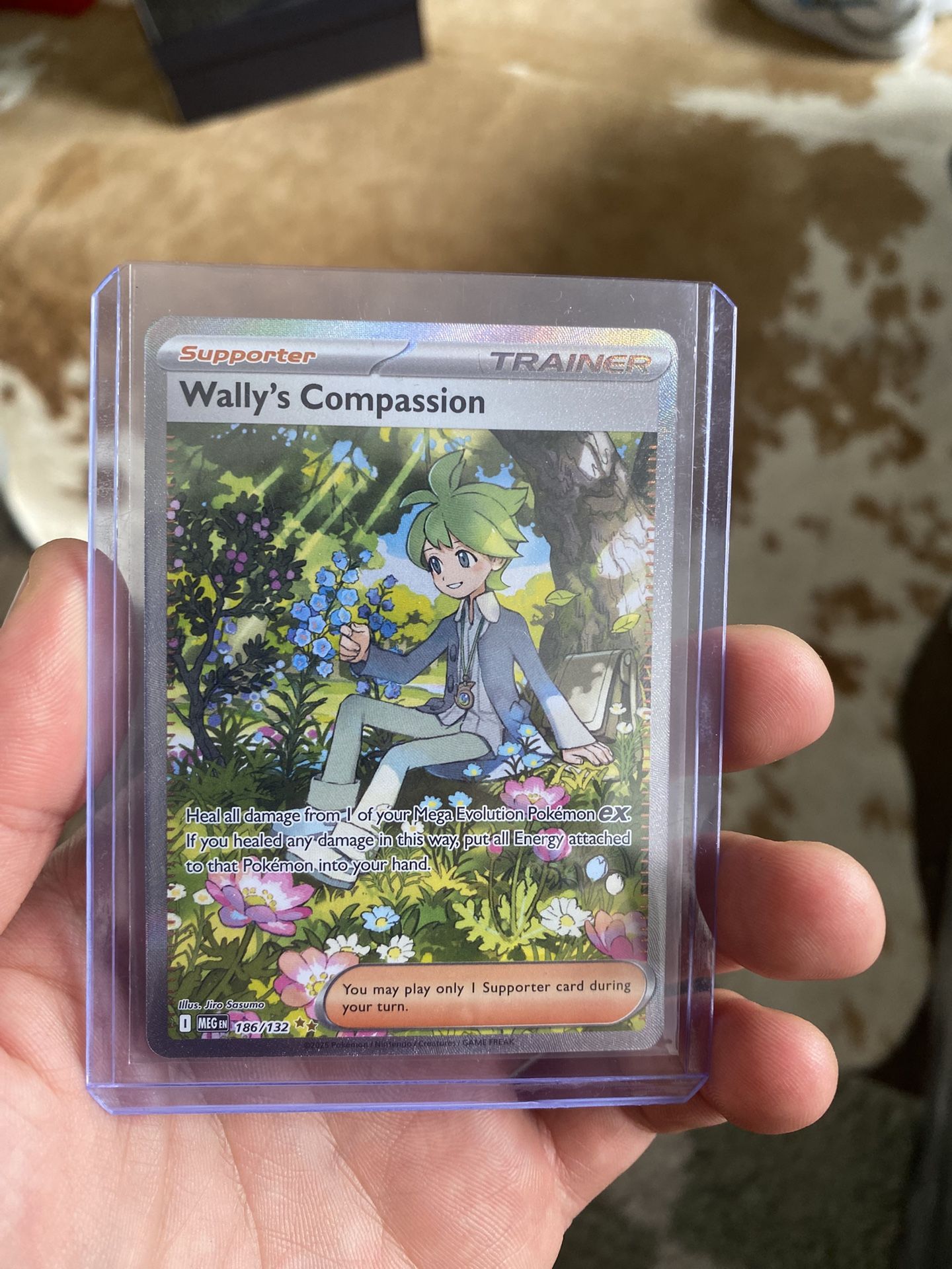Pokémon Wally’s Compassion