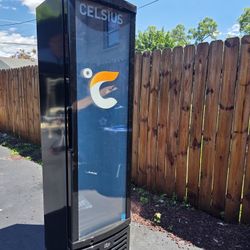 brand new cooler celcius