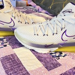 Nike Lebrons 2017 Low