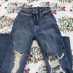 American Eagle Dad Jean