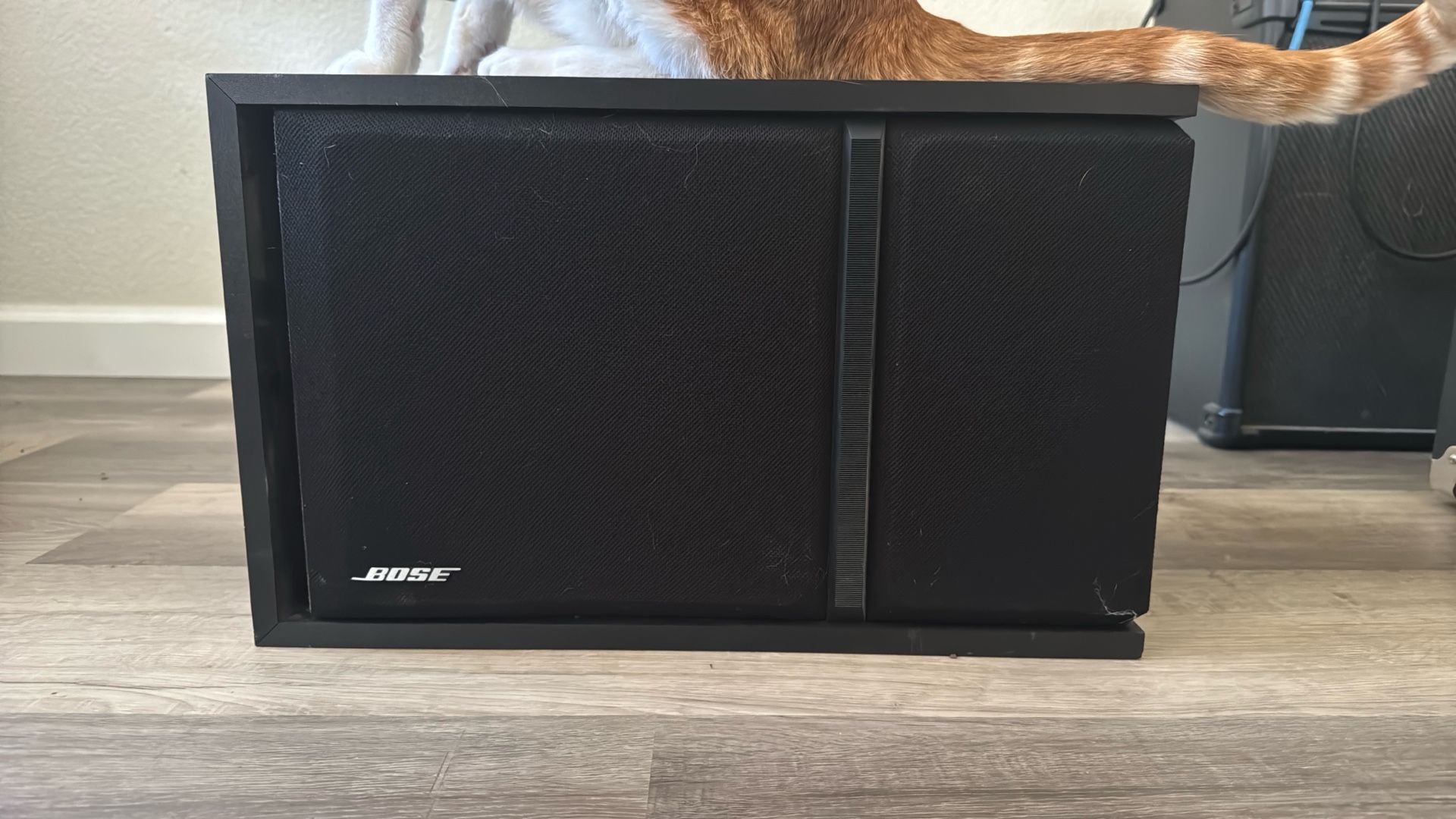 BOSE 301 Series III Speaker - 1 ONLY - $50 OBO