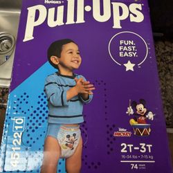 Brand New pulls Up Size 2t-4t