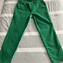 Nearly New TALBOTS 10Petite Kelly Green Jeans