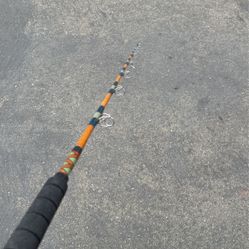 Conventional Fishing Rod 