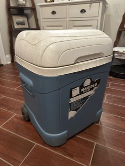 Igloo Cooler
