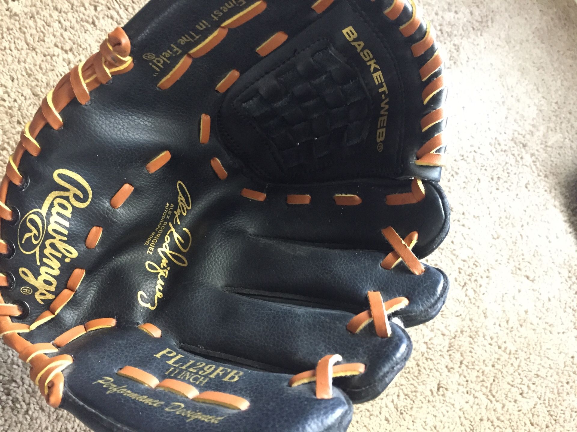 Rawlings baseball mitt