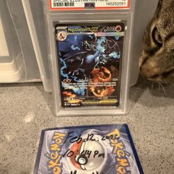 Mega Charizard Psa 10 