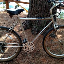 Vintage Rare Chrome 21 speed Classic Mountainbike