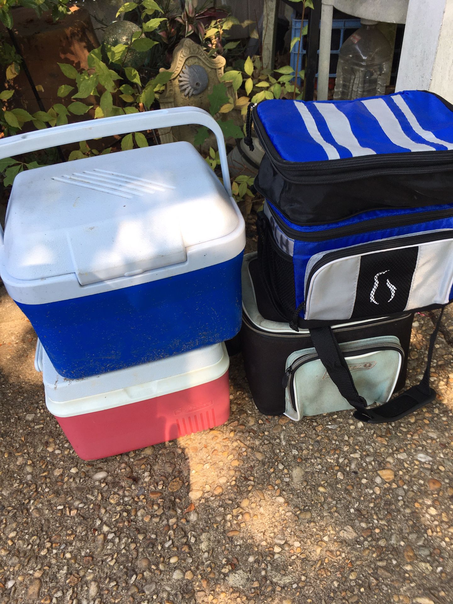Lunch coolers off for only $30 firm