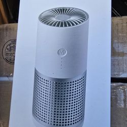 Portable Air Cleaner