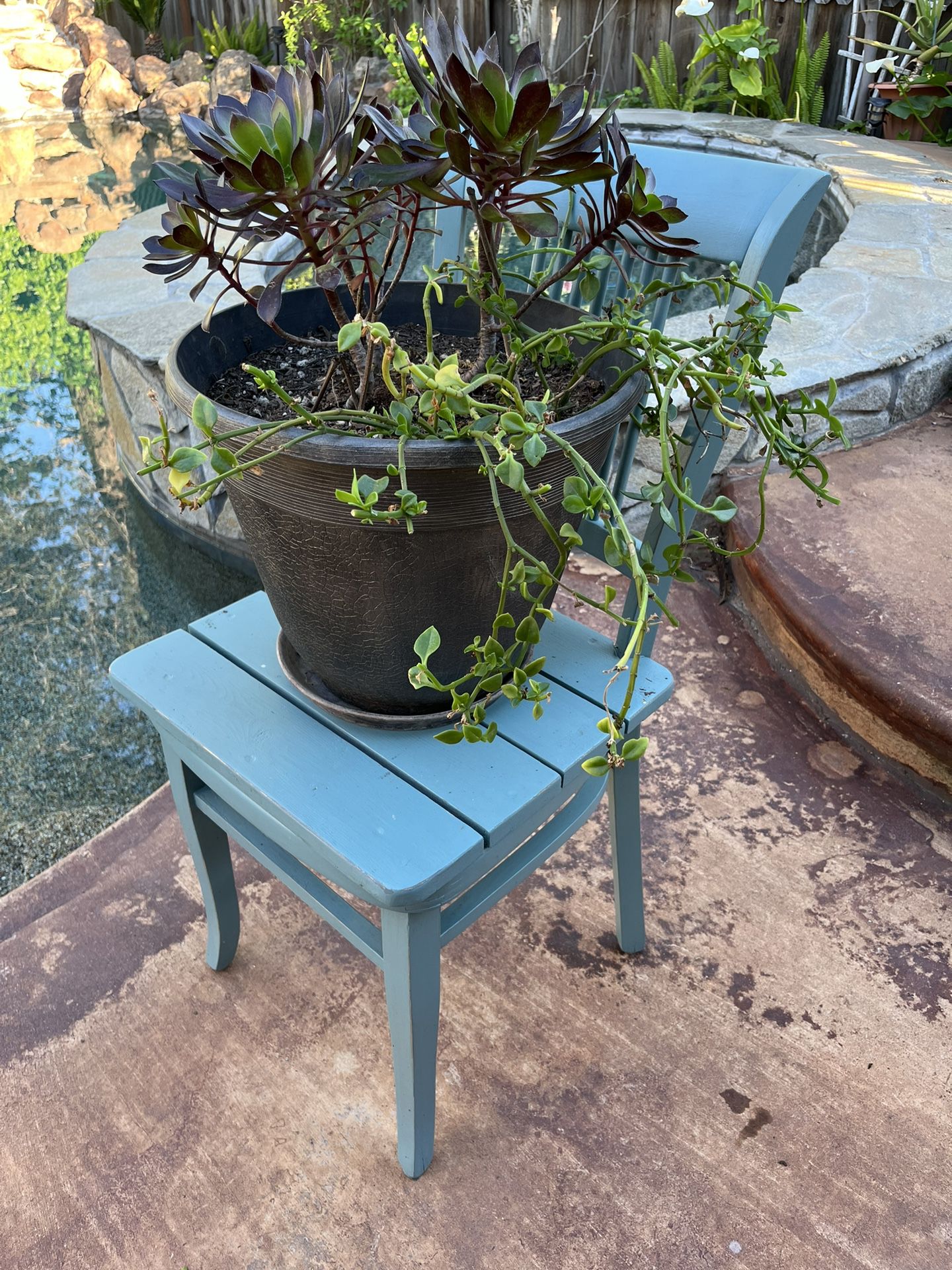Plant Stand With Potted Plant
