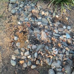 Free River Rock 
