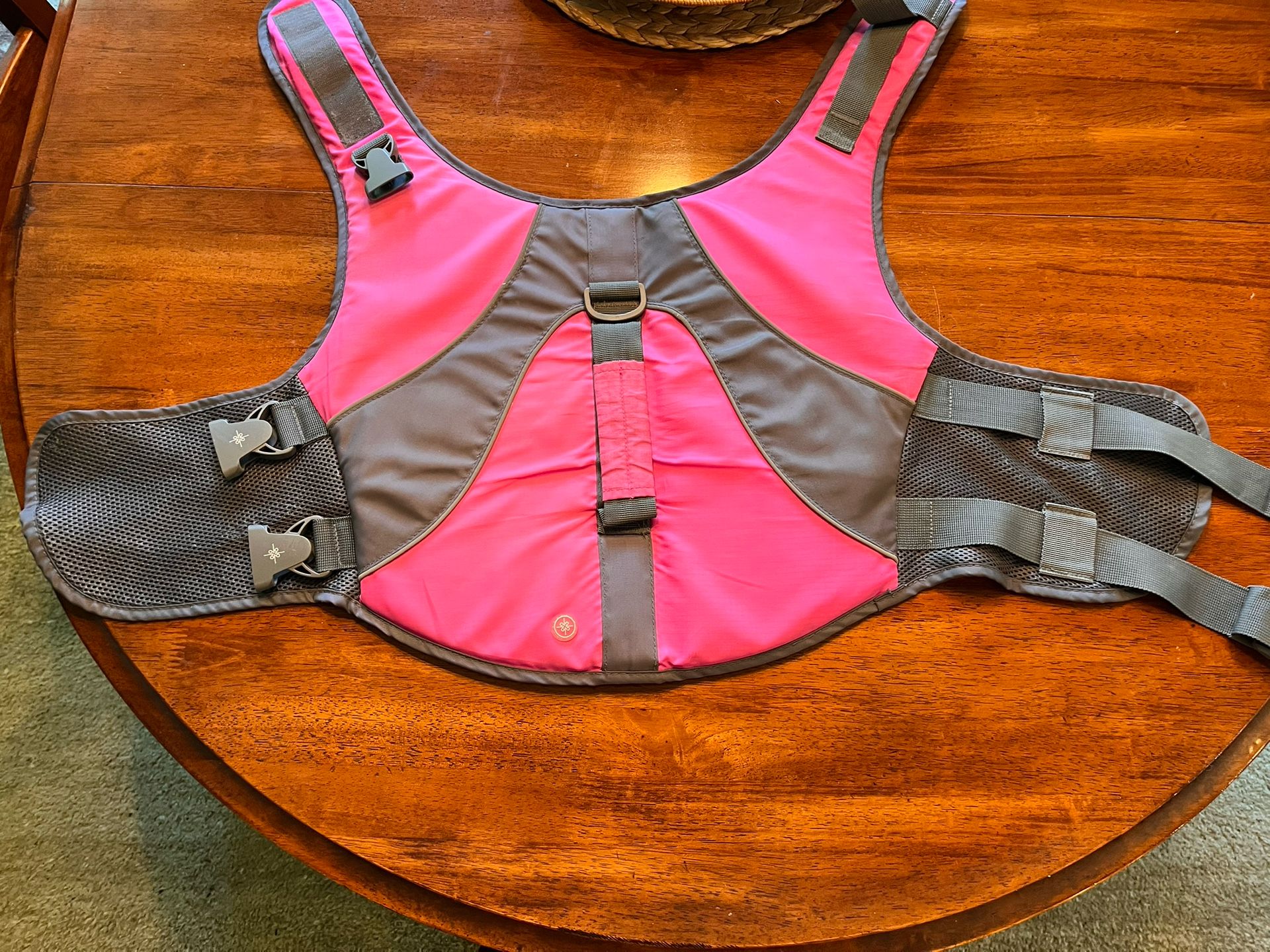 Good2Go Pet Life Vest