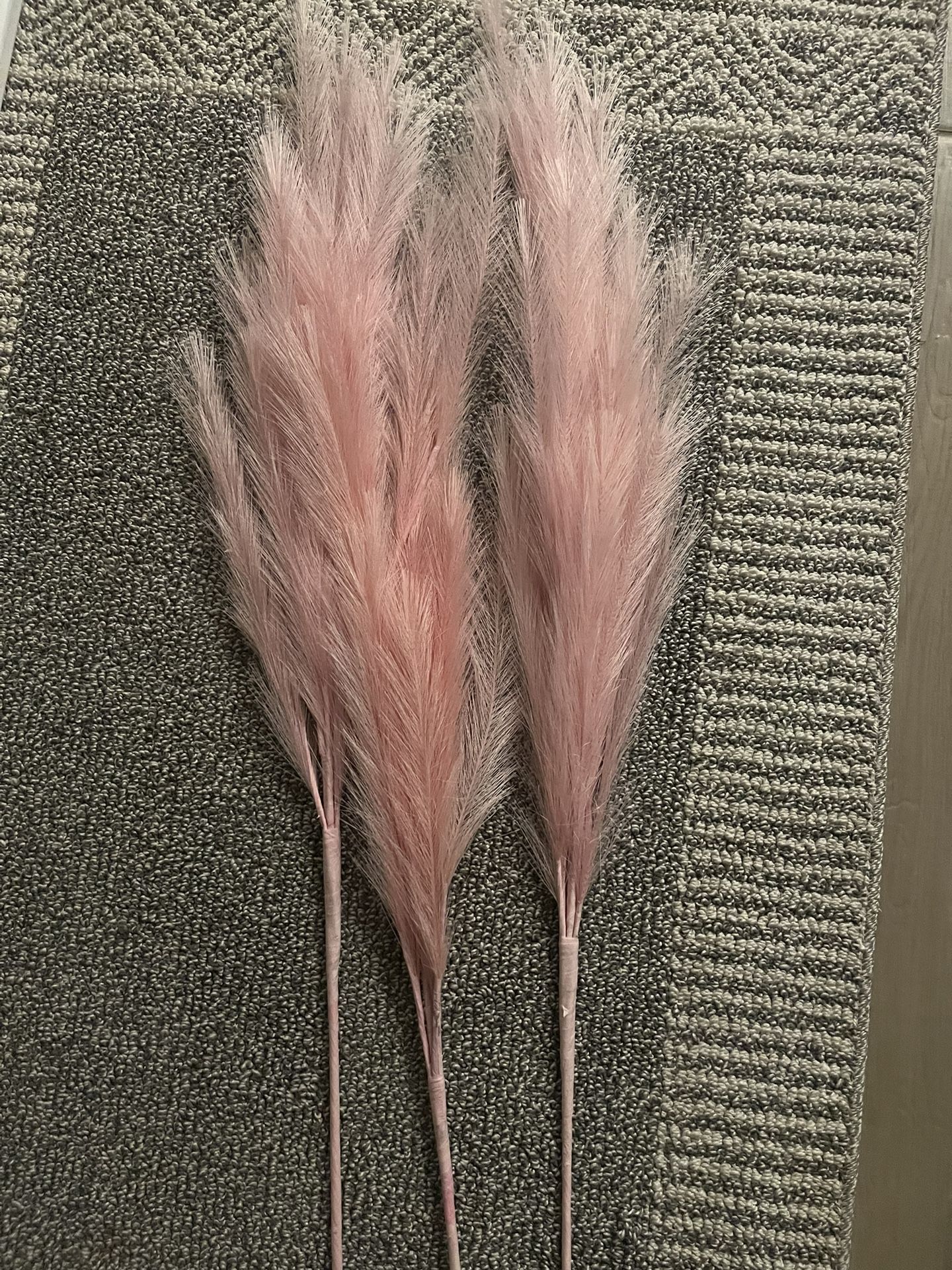 Pampas  Pink /rosa