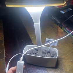 Flower Pot With Light